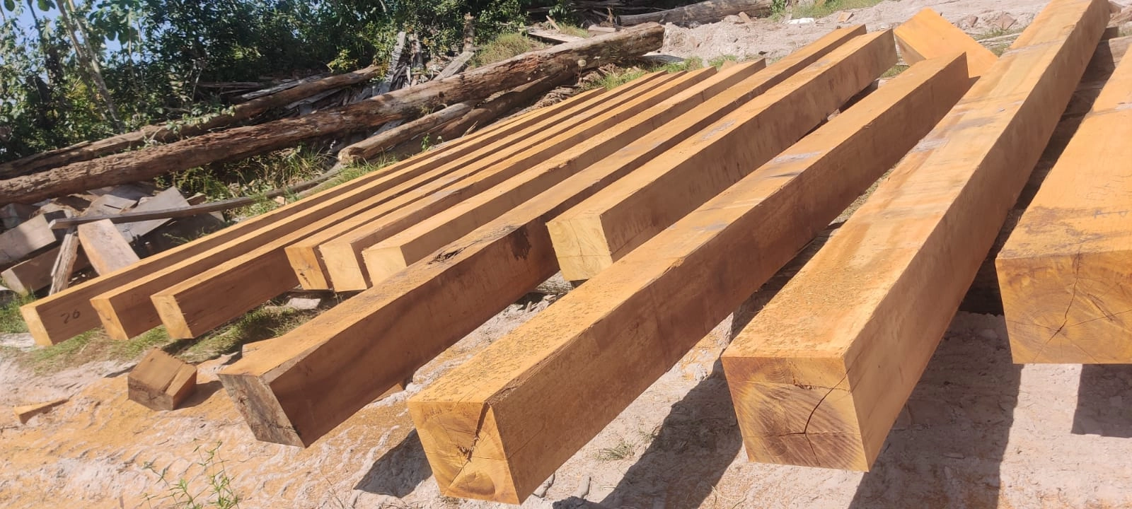 Freshly sawn hardwood beams laid out on sand