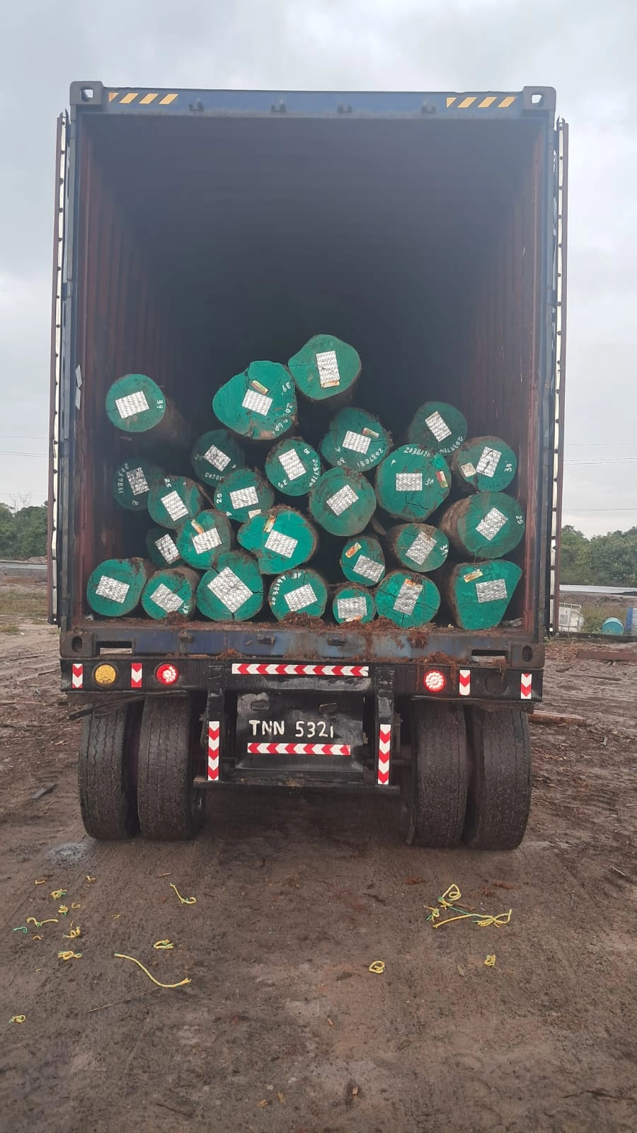 Open 40-foot container packed with teal-sealed round logs
