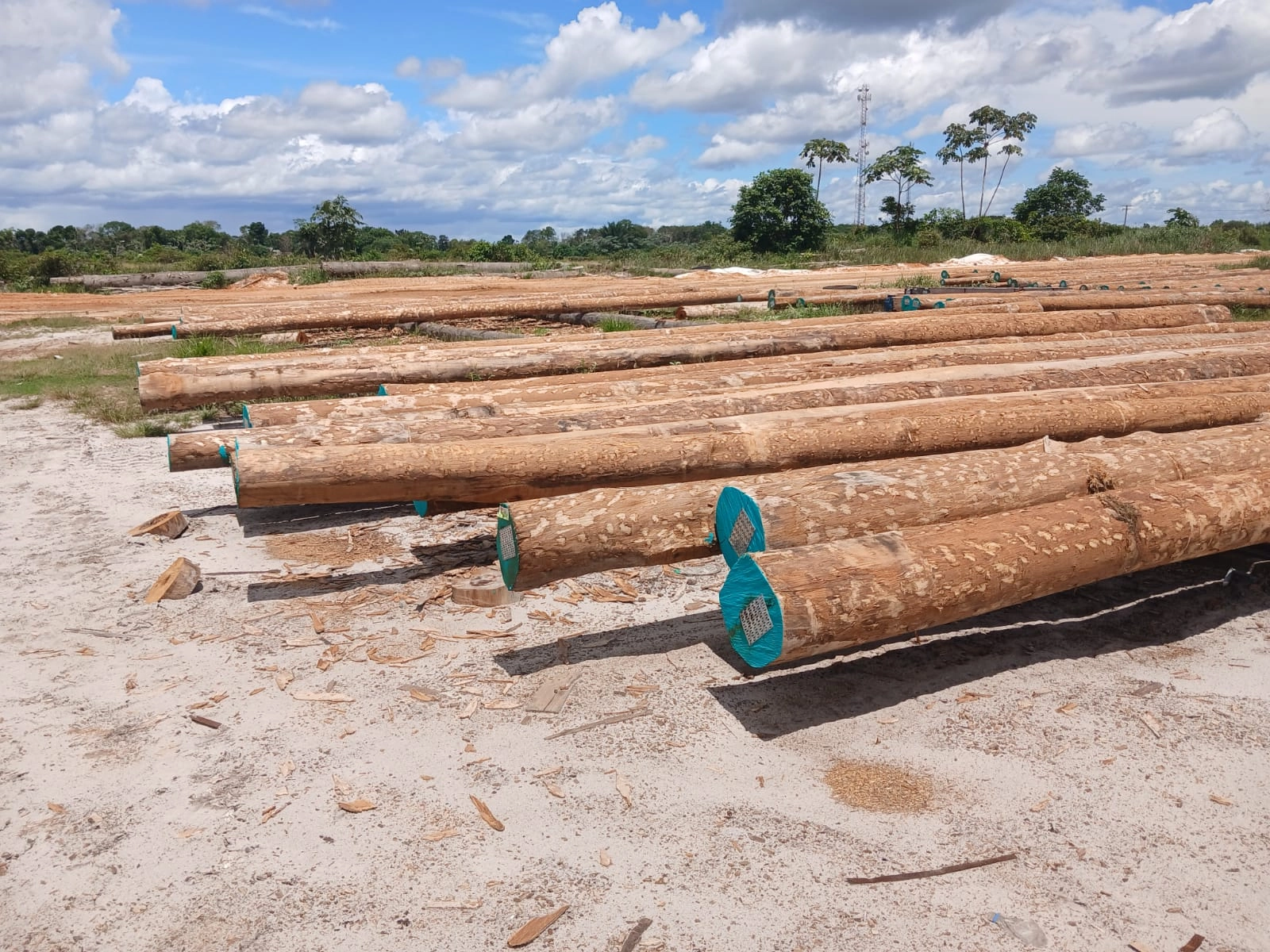 Piles, poles & posts