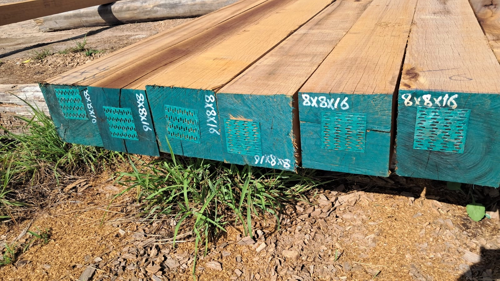 Row of 8x8x16 squares with sizes painted on teal-sealed ends