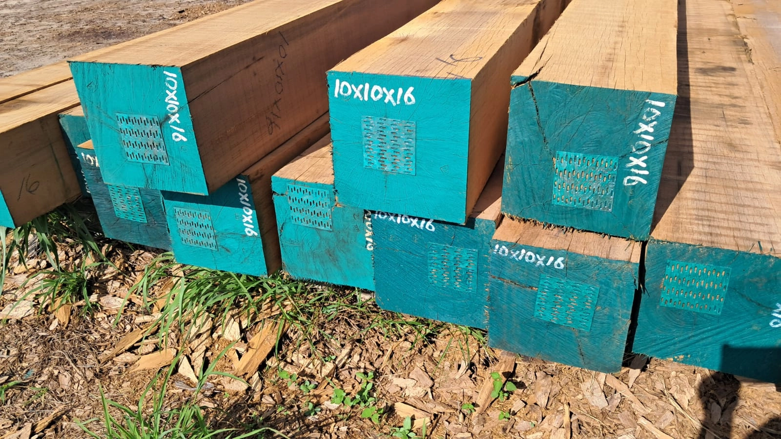 Square-sawn beams