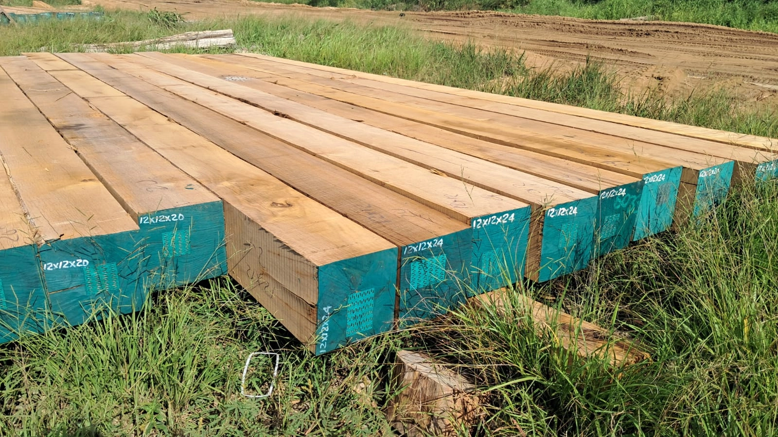 Row of square-sawn beams with painted sizes